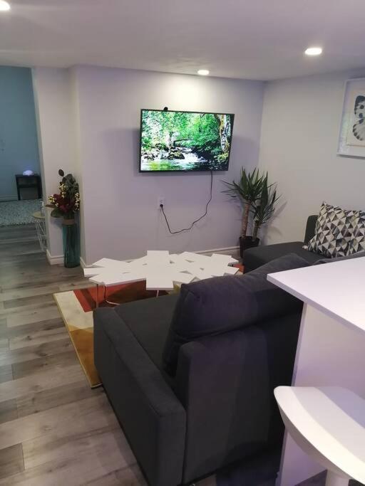 Apartament Cozy Nest Basement Unit Hamilton Zewnętrze zdjęcie
