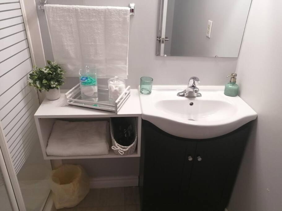 Apartament Cozy Nest Basement Unit Hamilton Zewnętrze zdjęcie