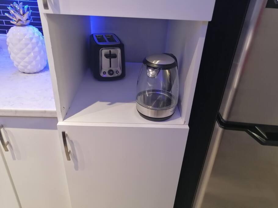 Apartament Cozy Nest Basement Unit Hamilton Zewnętrze zdjęcie