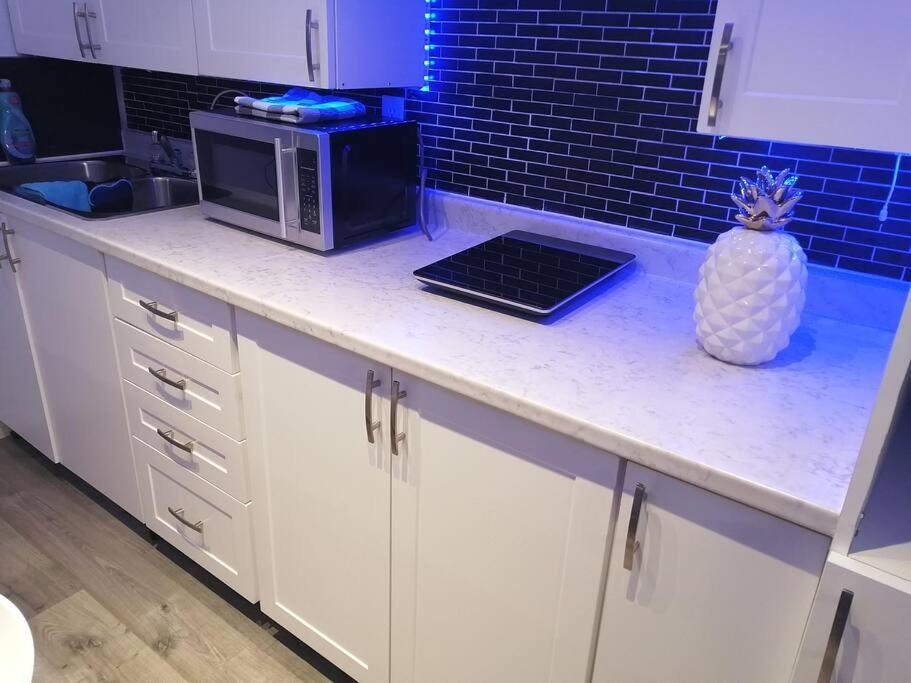 Apartament Cozy Nest Basement Unit Hamilton Zewnętrze zdjęcie