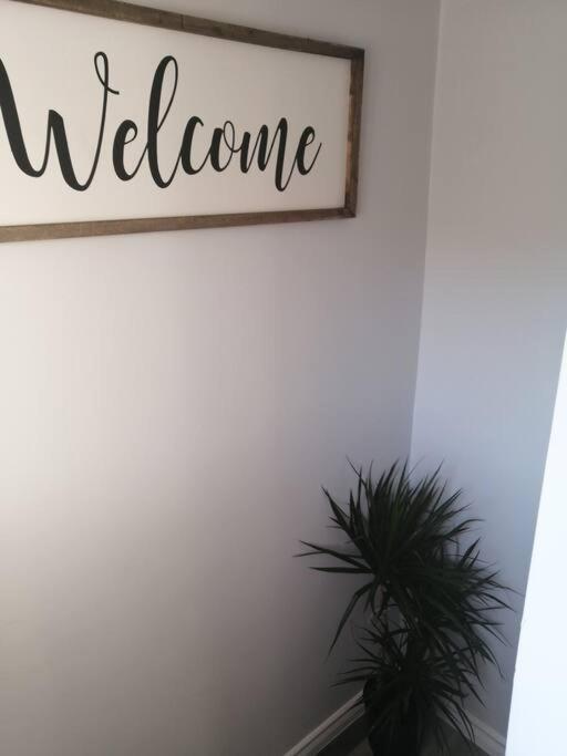 Apartament Cozy Nest Basement Unit Hamilton Zewnętrze zdjęcie